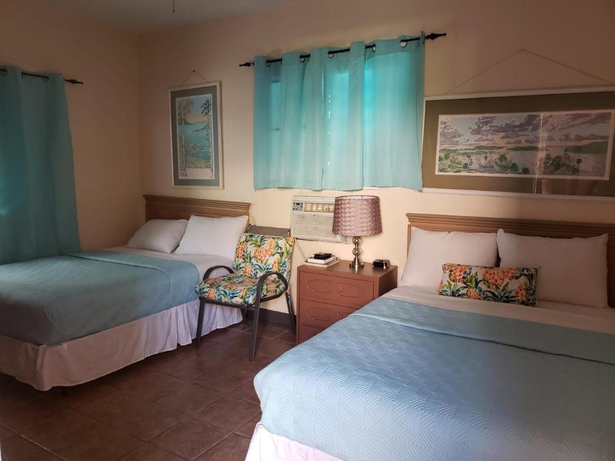 Midtown Guest House شارلوت أملي المظهر الخارجي الصورة